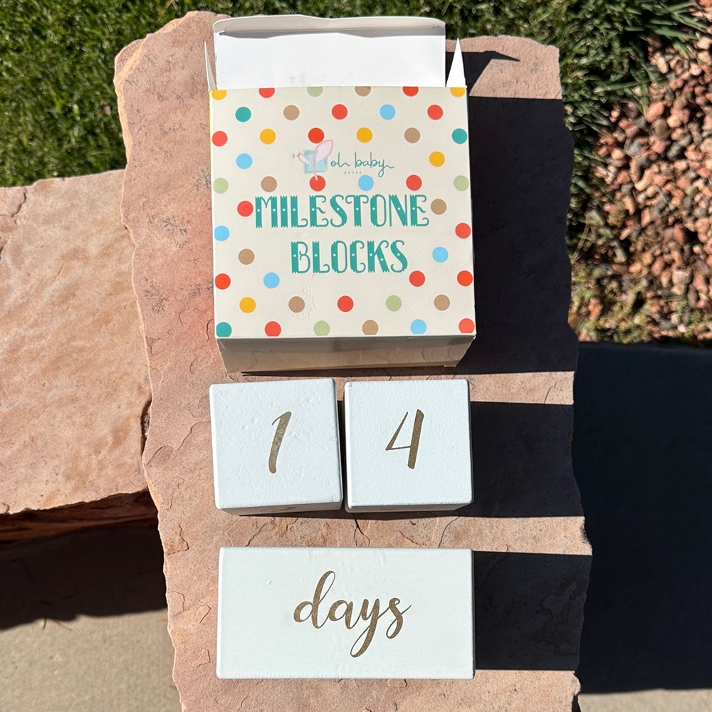 Colorful Milestone Blocks - Picture 3 of 5